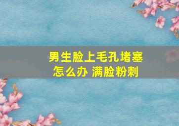 男生脸上毛孔堵塞怎么办 满脸粉刺